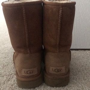 Chestnut Ugg Boots